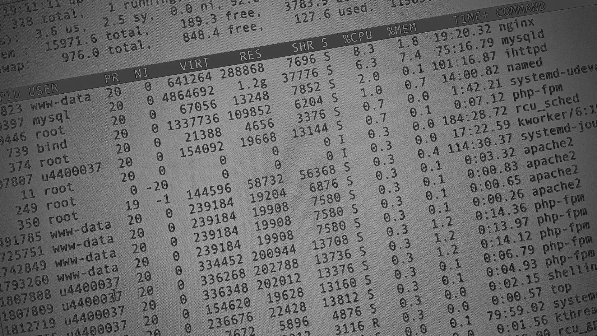 Настройка сервера в Великих Луках